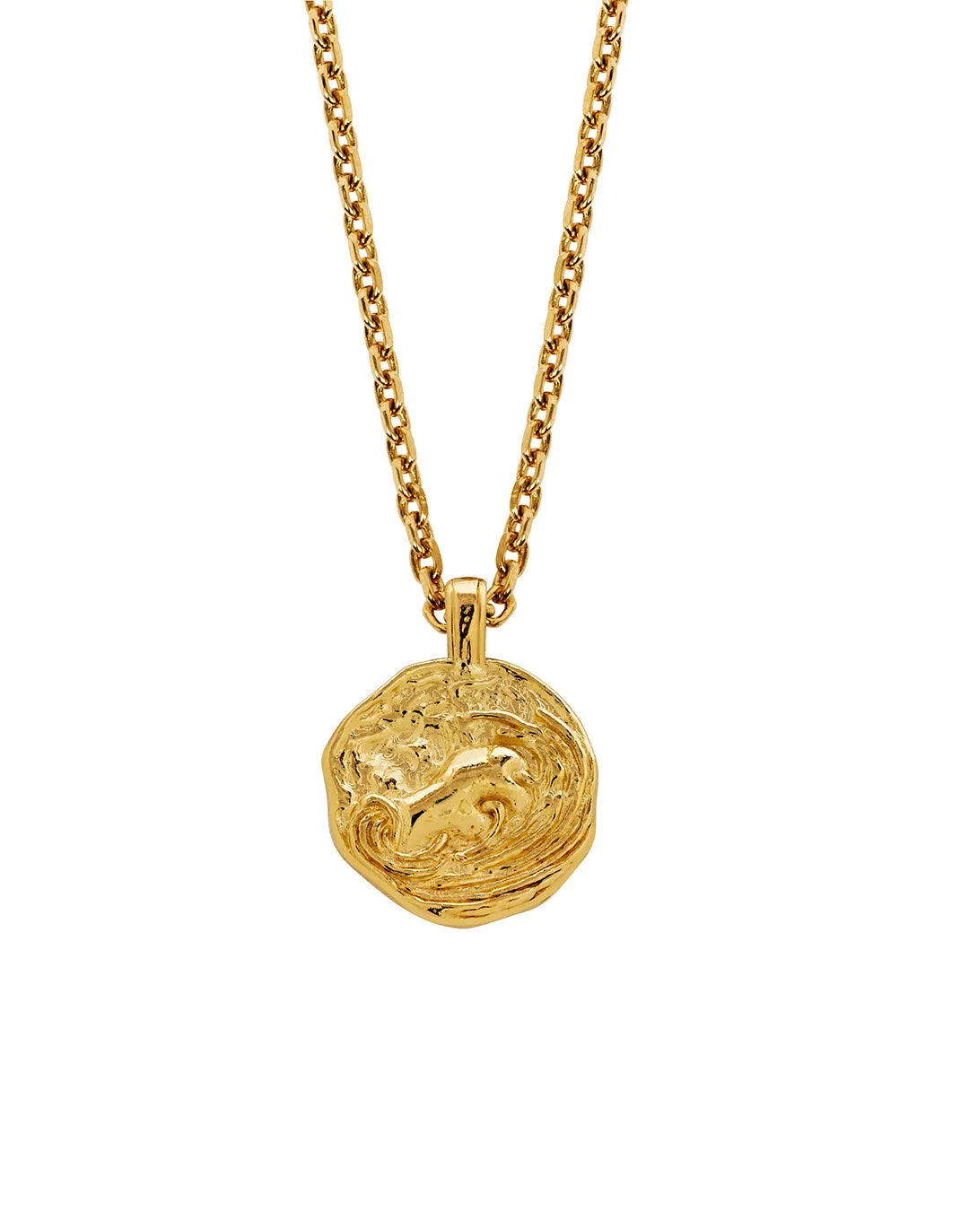 Aquarius Necklace Gold