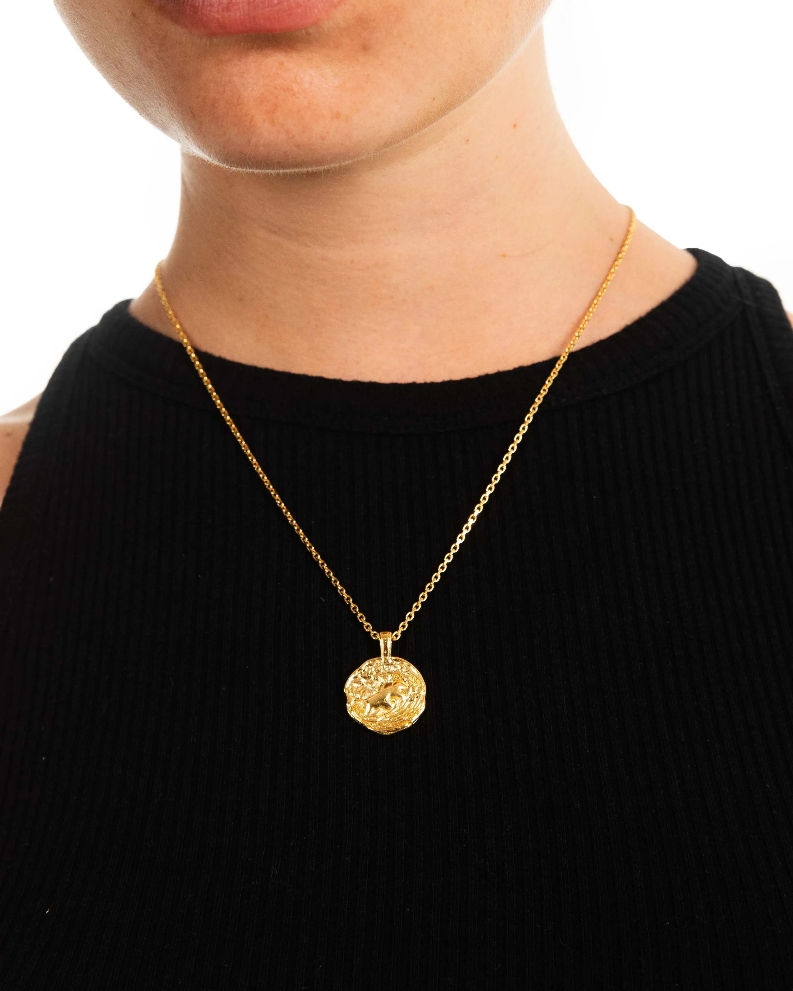 Aquarius Necklace Gold