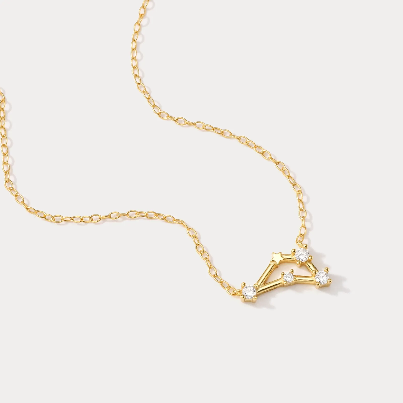 Constellation Silver Necklace - Capricorn