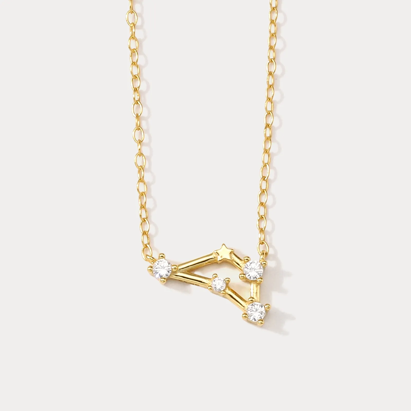 Constellation Silver Necklace - Capricorn