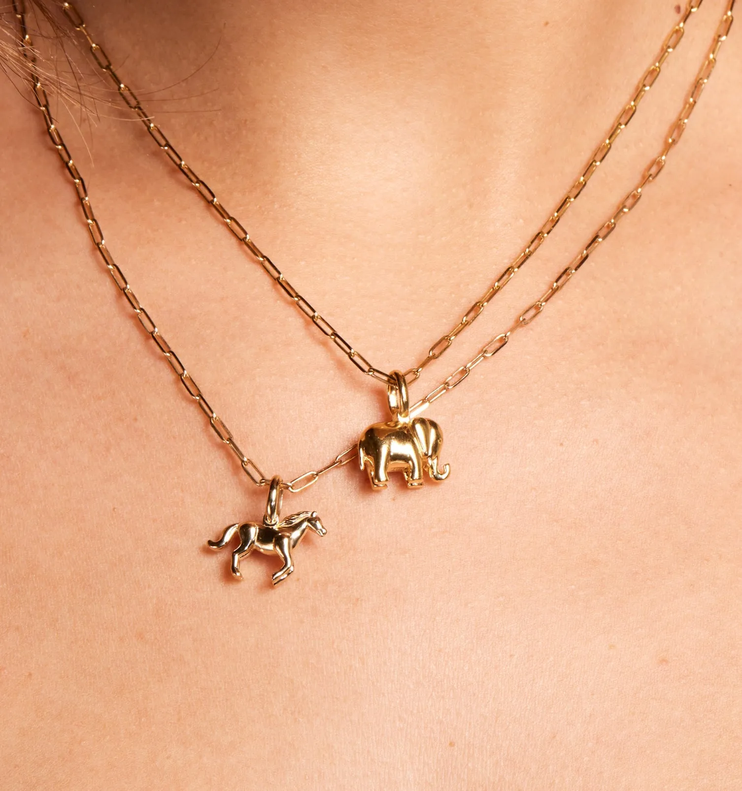 Horse Necklace