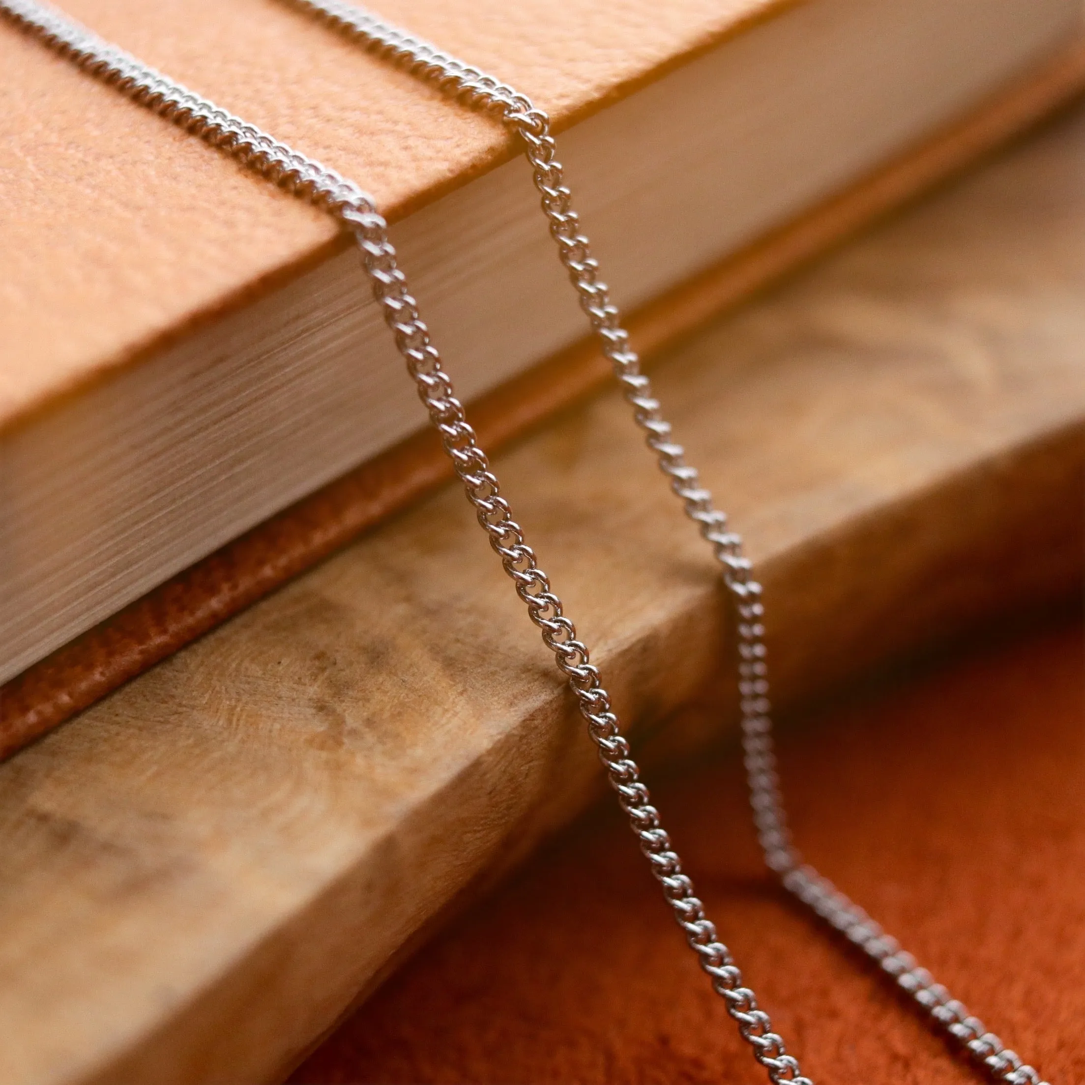 Plain Silver / Gold Curb Chain Necklace